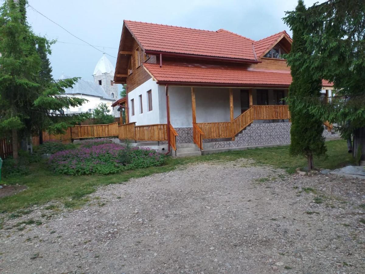 Pensiunea Floare De Colt Beliş Exterior foto